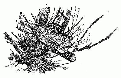 Cheshire cat in a tree