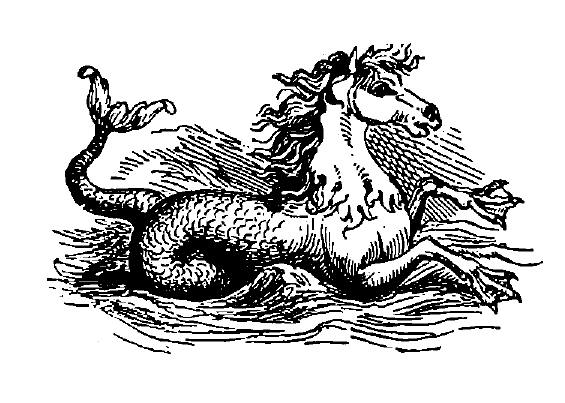 A hippocamp