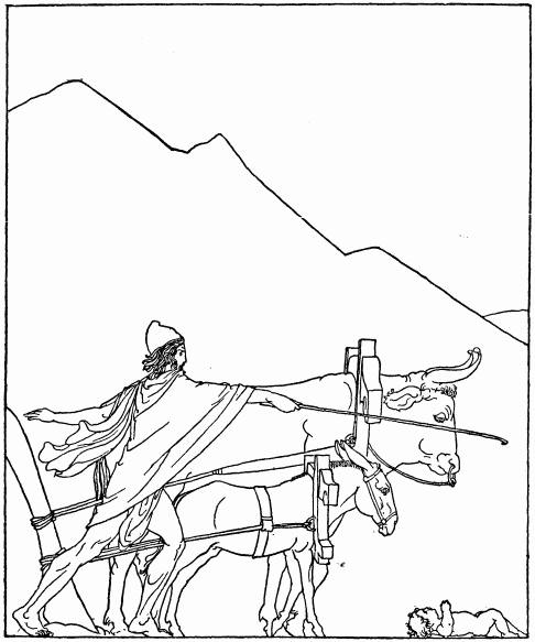 Illustration