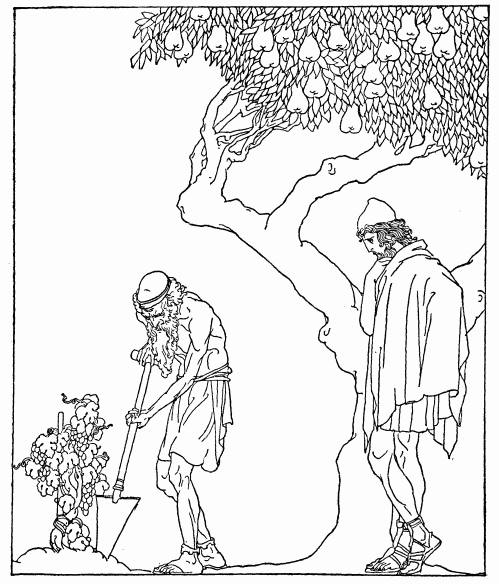 Illustration