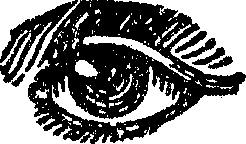eye