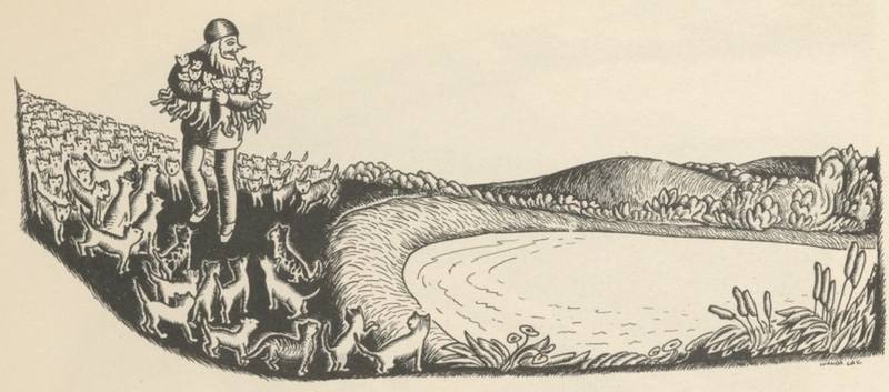 Illustration
