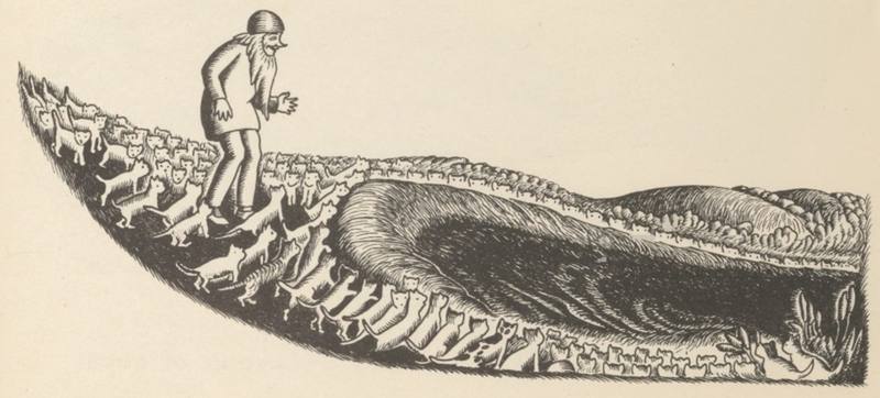 Illustration