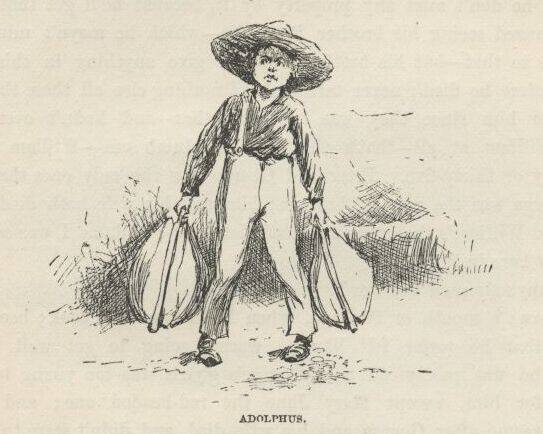 Illustration