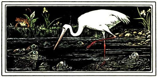 Illustration