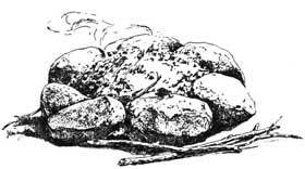 baking cakes