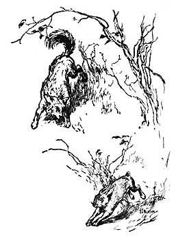 A hound was chasing a hare through the woods
