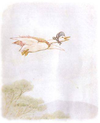 Soaring