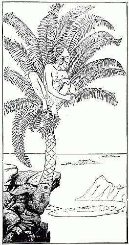 This is the Parsee Pestonjee Bomonjee sitting in his palm-tree and watching the Rhinoceros Strorks bathing near the beach of the Altogether Uninhabited Island after Strorks had taken off his skin.