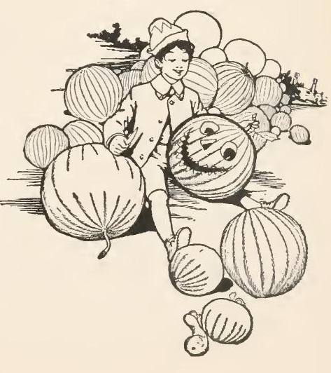 image017