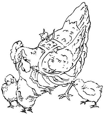 Illustration