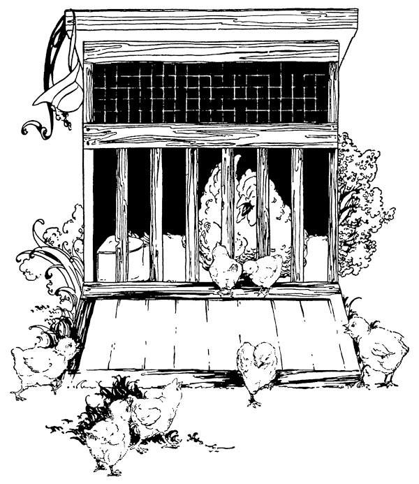 Illustration