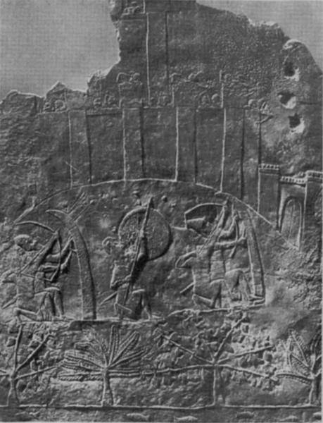 Illustration