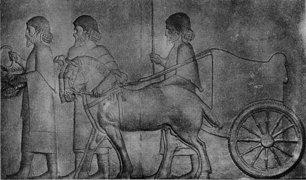 Illustration