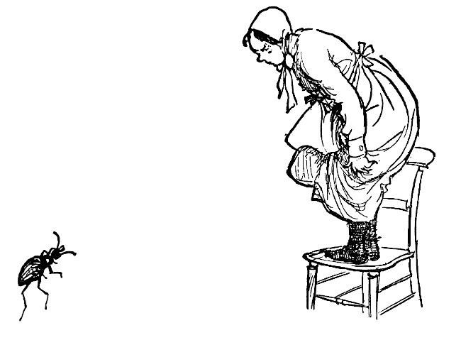 Illustration