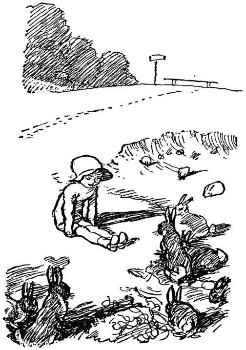 Boy watching rabbits