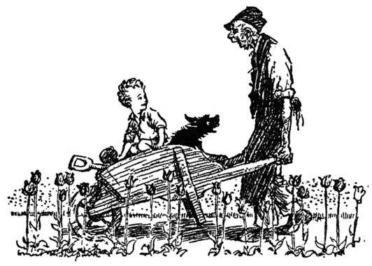 Man wheeling boy and dog in barrow