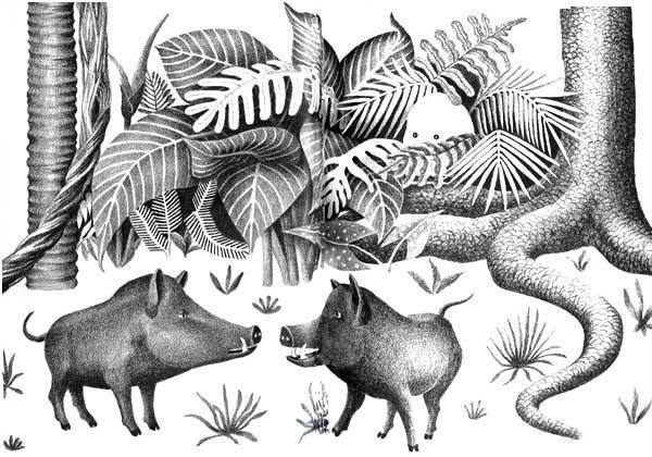 Illustration
