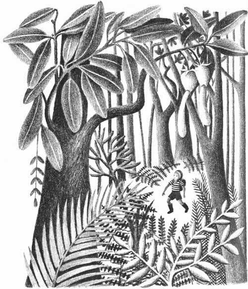 Illustration