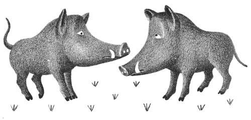 Illustration
