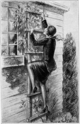 Nancy in fancy dress, climbing a trellis