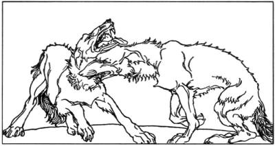 Illustration