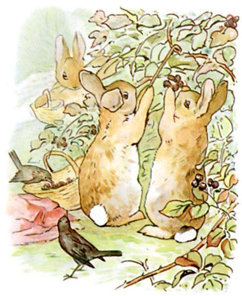 Illustration