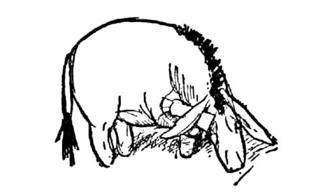 Illustration