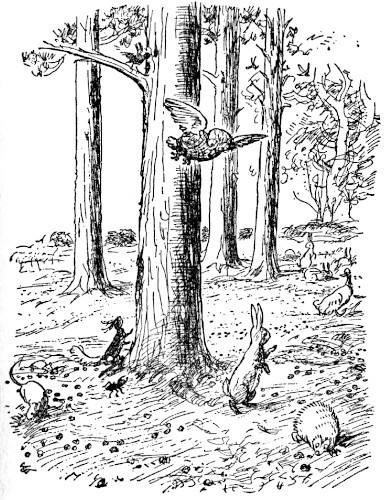 Illustration