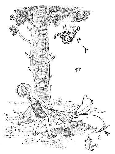 Illustration