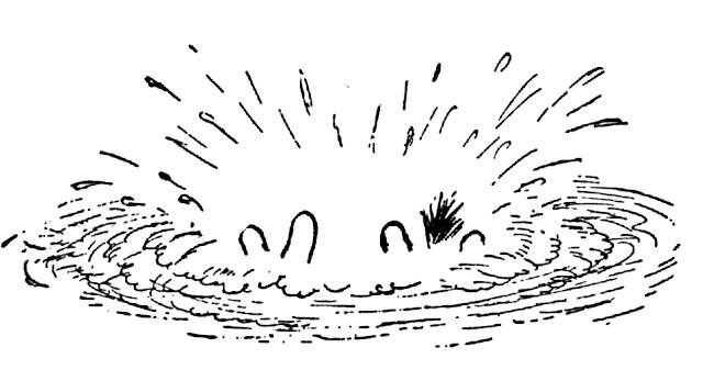 Illustration