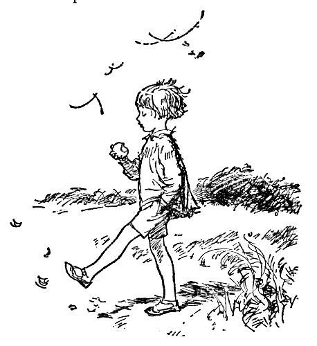 Illustration