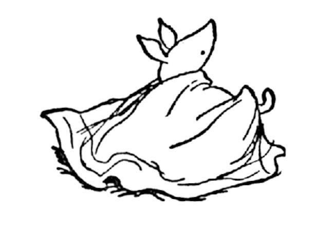 Illustration