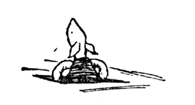 Illustration