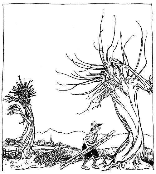 Illustration
