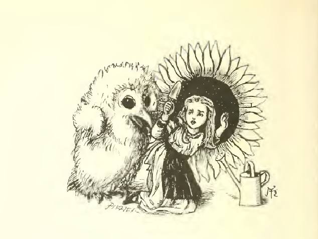 I dreamt I caught a little owl
