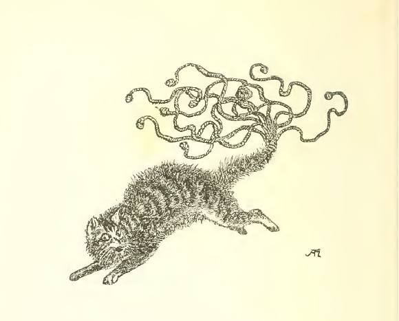 A city plum