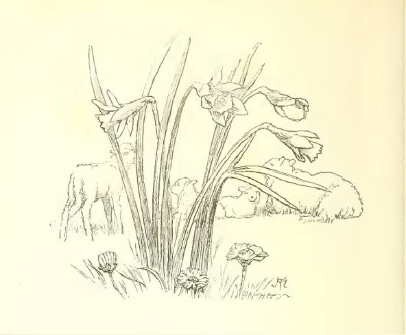 Growing in the vale