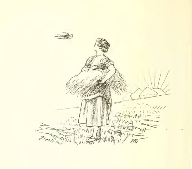Fly away