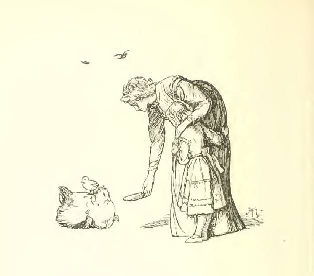 A white hen sitting