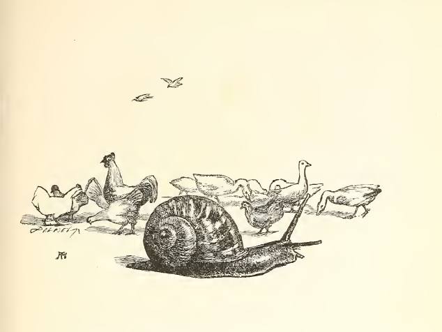 Swift and sure the swallow