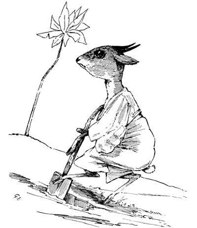 Cunning Rabbit and his well.