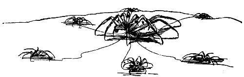Why Mr. Spider's waist is small.