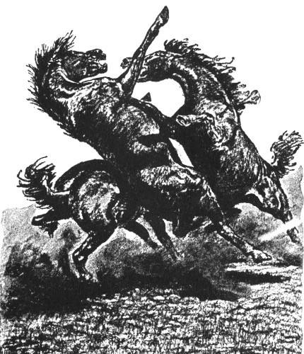 Illustration