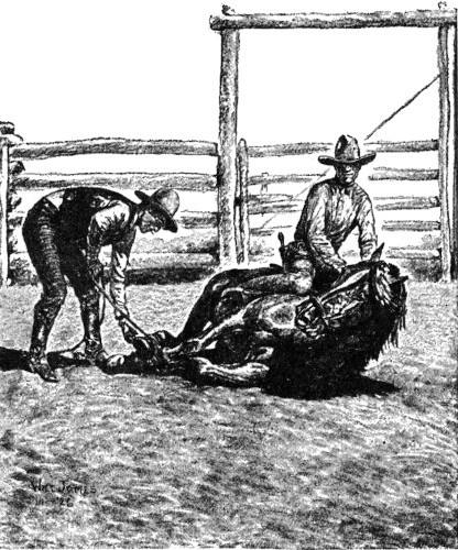 Illustration
