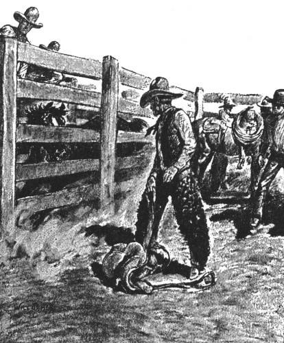 Illustration