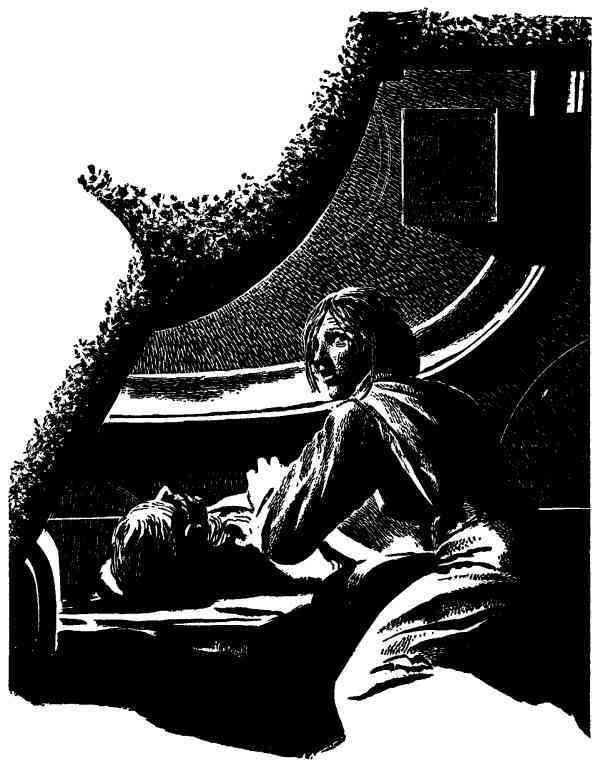 Illustration