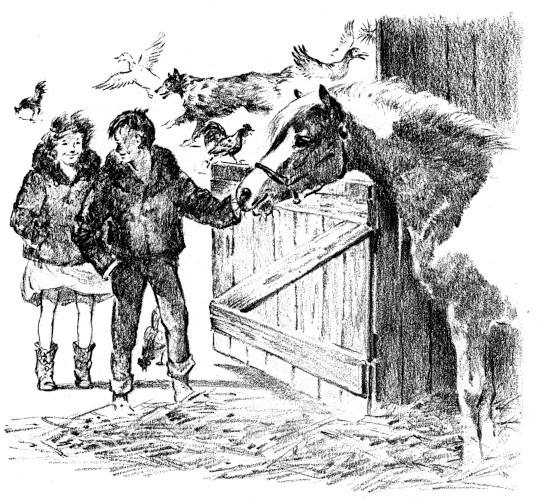 Illustration