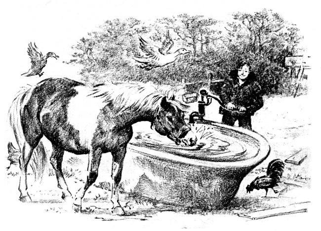Illustration