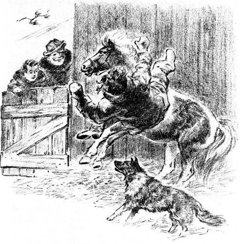 Illustration